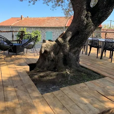 L'alivu Di Vecchio - Piscine