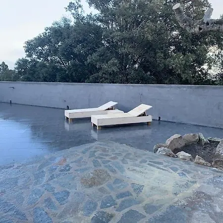 Дом отдыха L'alivu Di Vecchio - Piscine